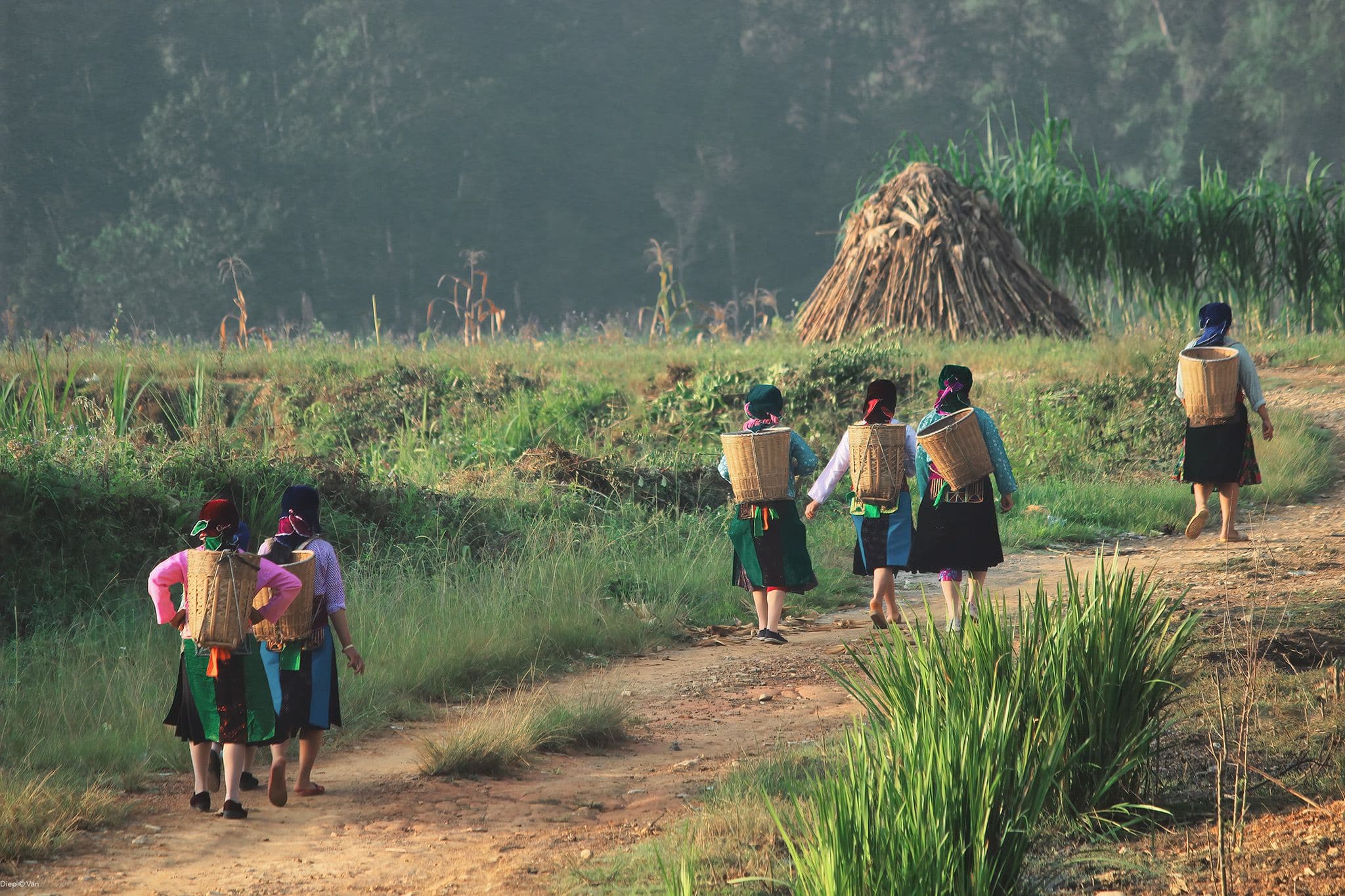 5 Different Choices For Your Vietnam 2 Week Itinerary