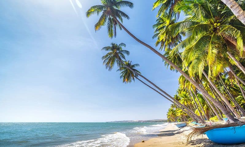 Phan Thiet is one of the best places to go in Vietnam if anyone wants to relax and love nature (Source: Internet)