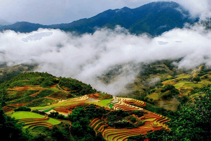 Muong Hoa Valley (Source: Internet)