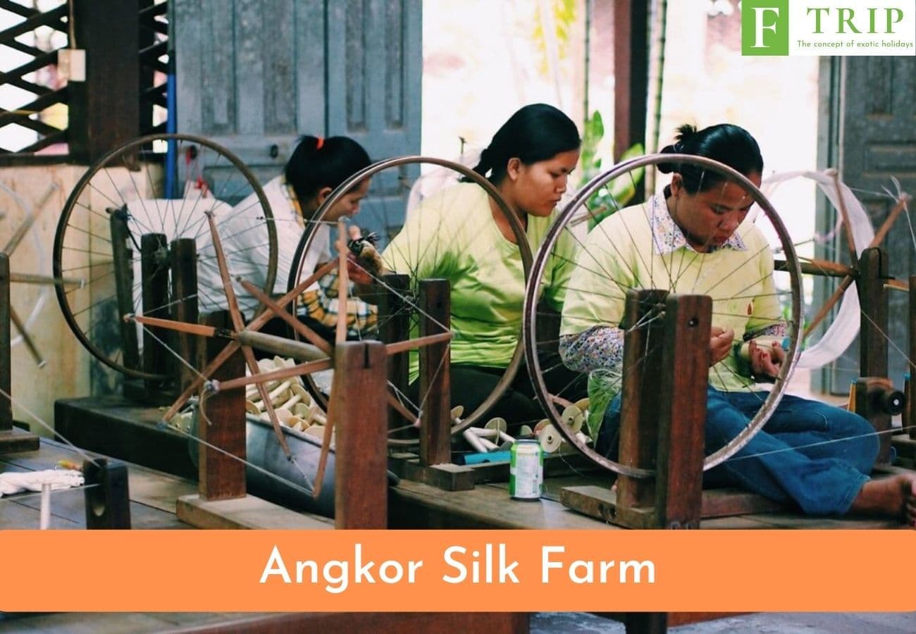 Angkor Silk Farm (Source: Internet)