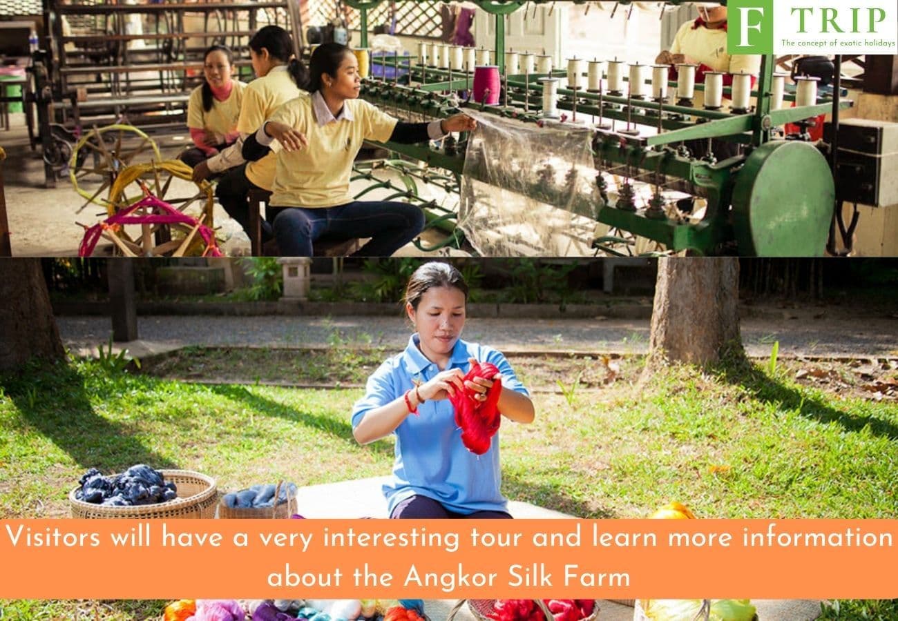 Visitors will have a very interesting tour and learn more information about the Angkor Silk Farm (Source: Internet)