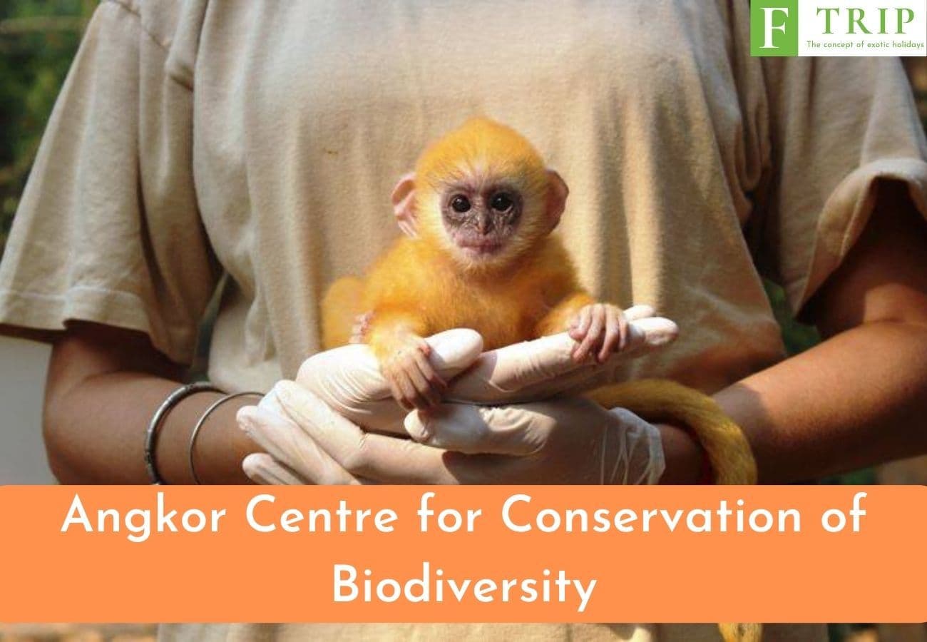 Angkor Centre for Conservation of Biodiversity (Source: Internet)
