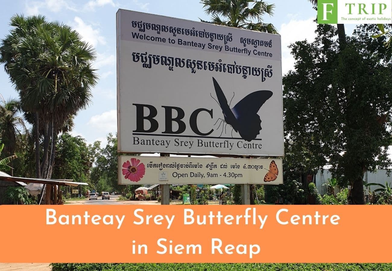 Banteay Srey Butterfly Centre in Siem Reap (Source: Internet)