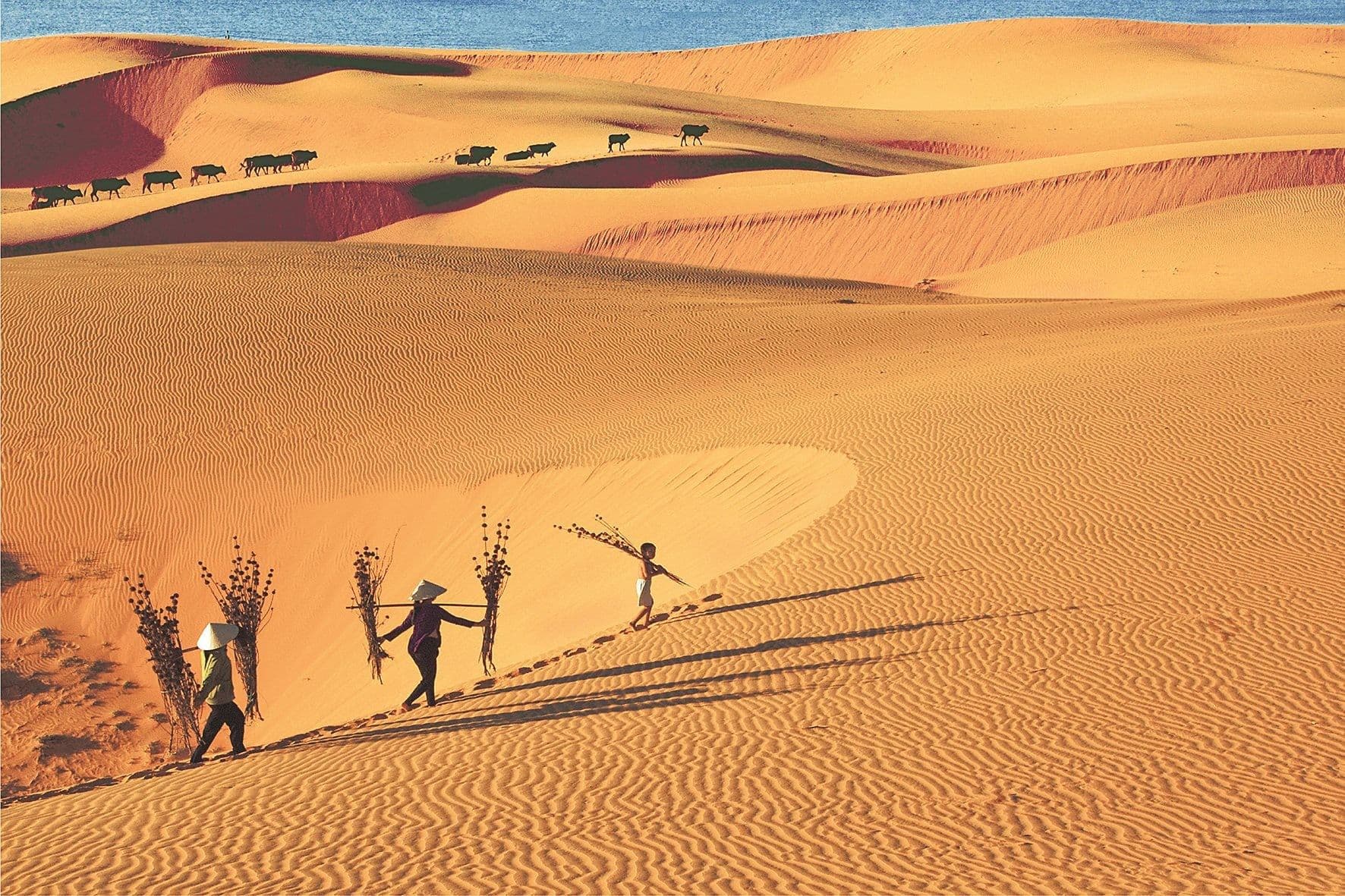 Breathtaking sight of Mui Ne dunes (Source: Internet)