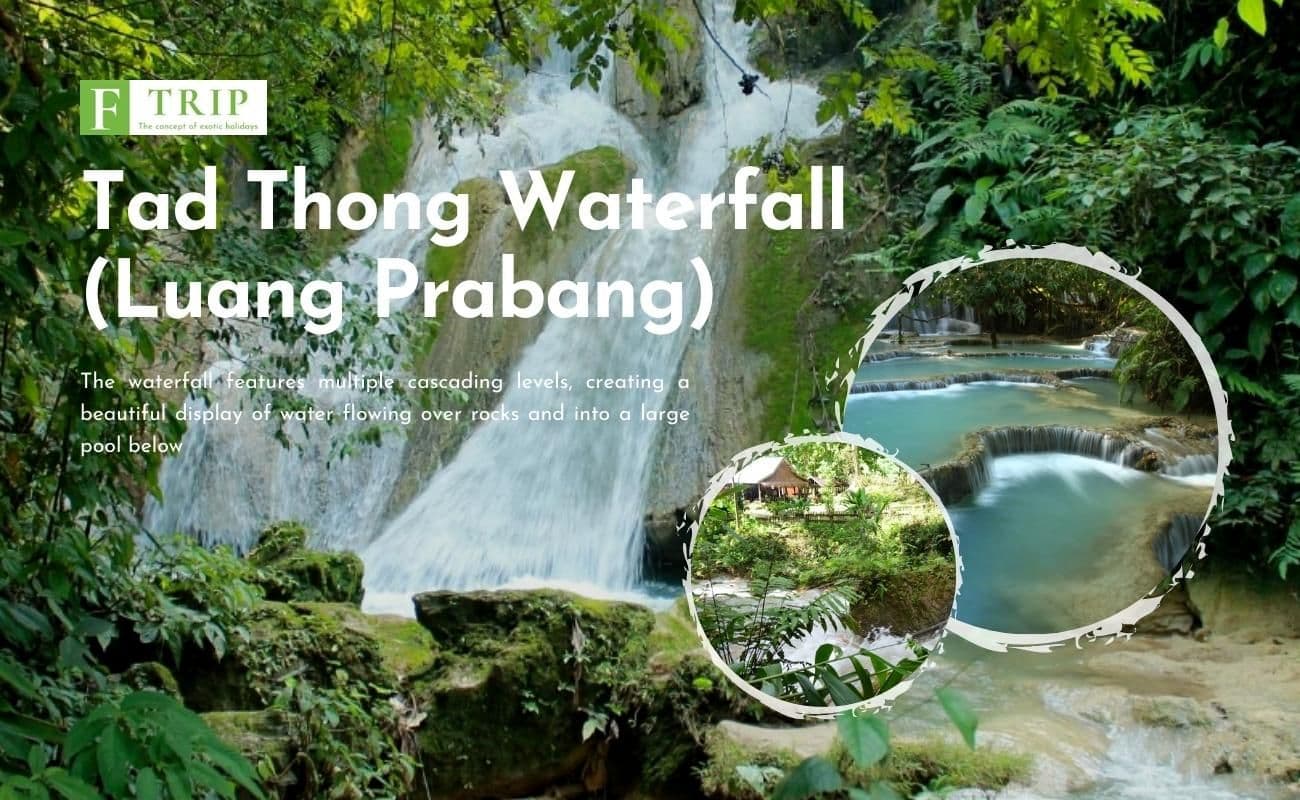 Tad Thong Waterfall (Source: Internet)