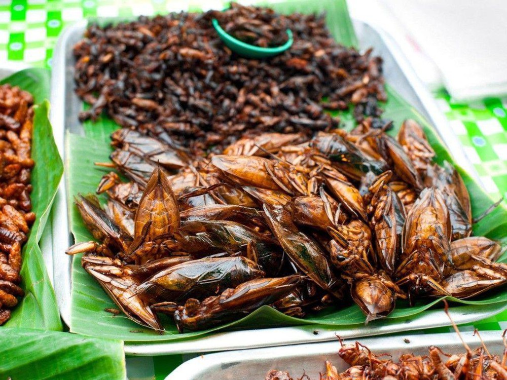 Crickets, grasshoppers and other insects      vientiane food