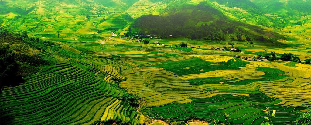 the terraced fields in Sapa are created by the hardworking hands of the ethnic minorities living here 
